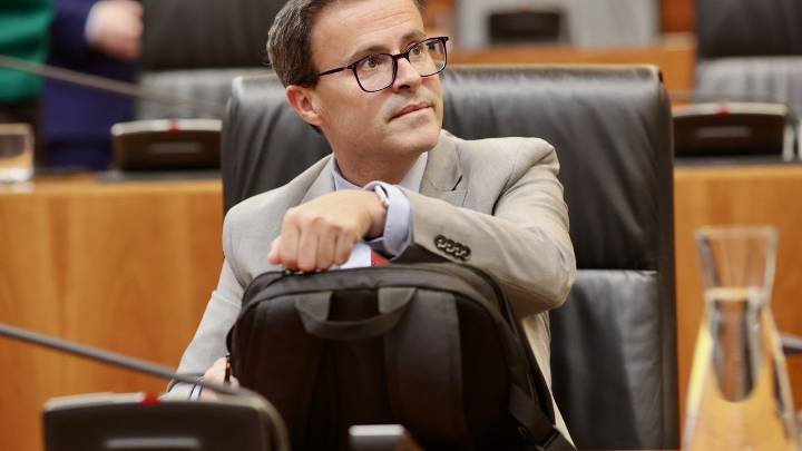 Gallardo, partidario de celebrar "sin demora" el juicio contra el hermano de Sánchez