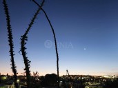 Sábado soleado; con una mínima de 7 grados en la capital