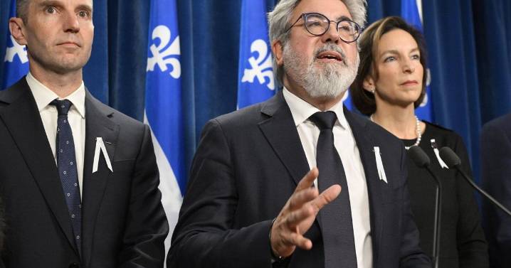 Pressure mounts on Quebec Liberal Leader Pablo Rodriguez to resign amid crisis