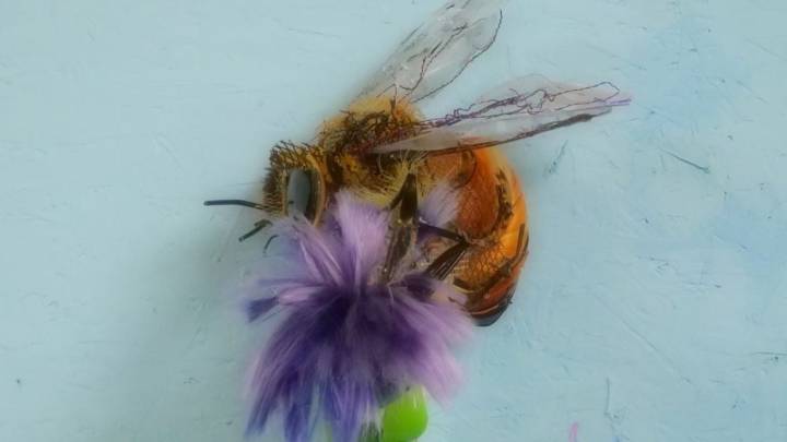 Abre la feria Pinta Miami que destaca el arte sostenible de América Latina