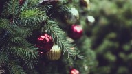 How to Tell if Your Christmas Tree is Illegal