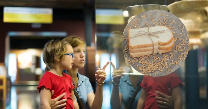 Visita el museo interactivo dedicado a la tradición panadera mexicana