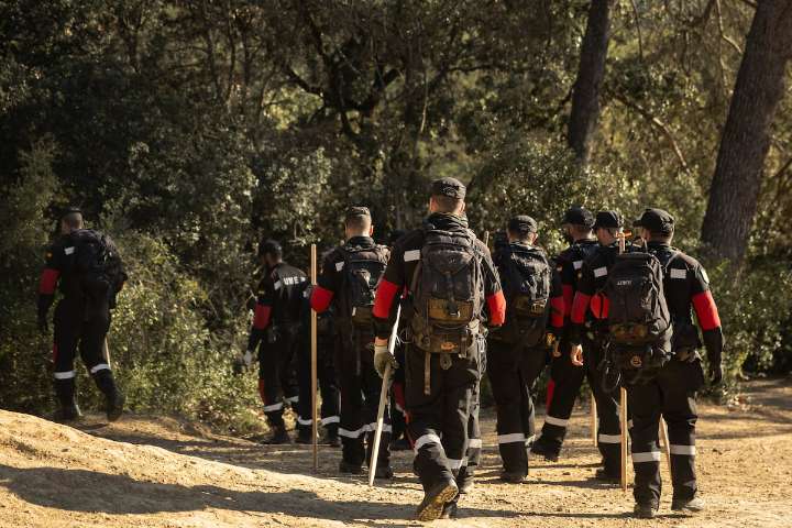 La Generalitat acuerda con los ganaderos el sacrificio de 30.000 cerdos sanos en el foco de infección de peste porcina