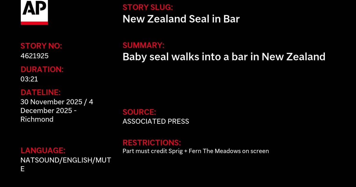 Stop me if you've heard this one before: A baby seal waddles into a bar...