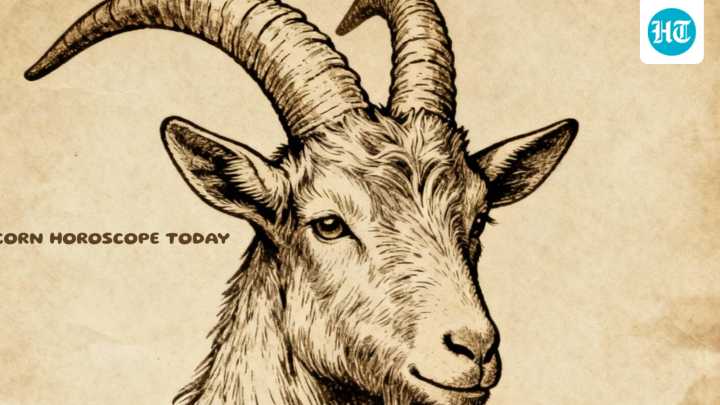Capricorn Daily Horoscope Today for December 13, 2025