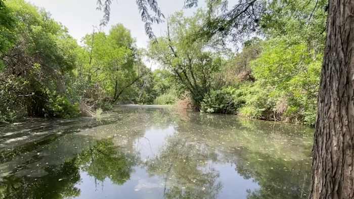 Understanding the potential impact of Municipal Utility Districts on Guajolote Ranch development