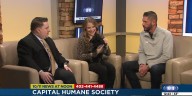 'Home for the Holidays' pet adoption promotion