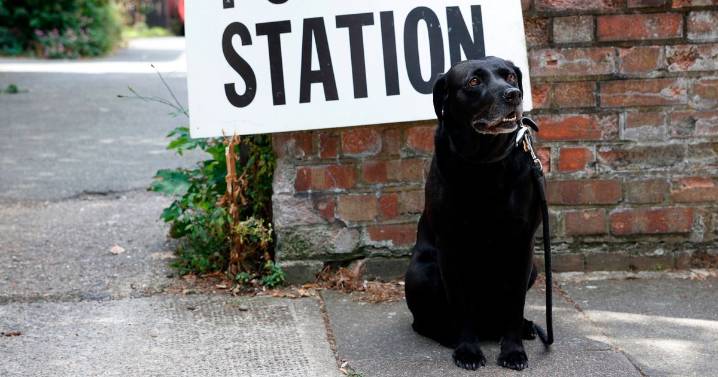 Millions of people to see elections delayed until at least 2028