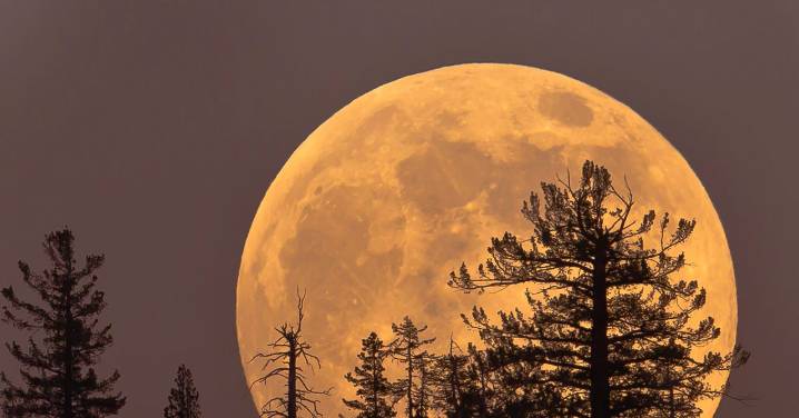 Thursday's Cold Moon Is the Last Supermoon of the Year. Here's How and When to View It