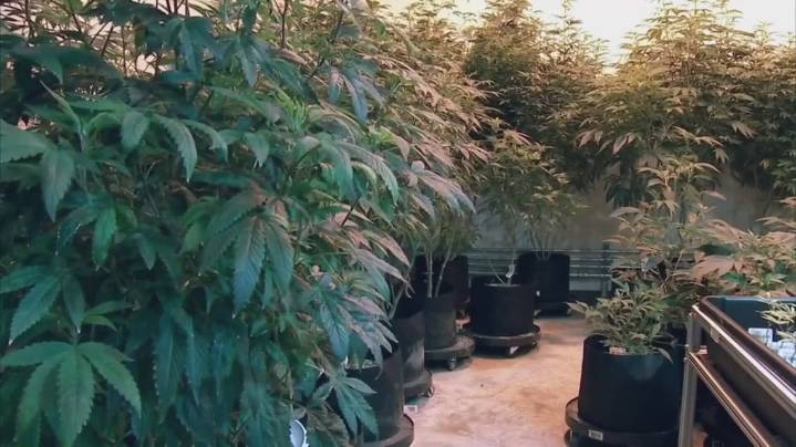 Ohio bill to ban intoxicating hemp products and make changes to marijuana law goes to Gov. Mike DeWine