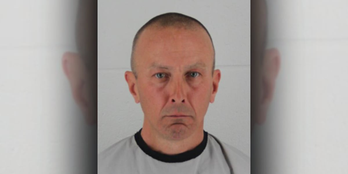 Affidavit: Bystanders step in to protect 85-year-old woman during hammer attack