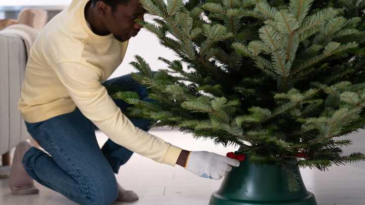 5 Types Of Christmas Tree Stands (& Which One Is Best For You?)