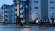 Green River flooding prompts evacuation in Auburn as Snohomish County lifts notices