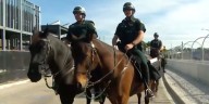 Sarasota County Sheriff’s mounted patrol provides holiday security