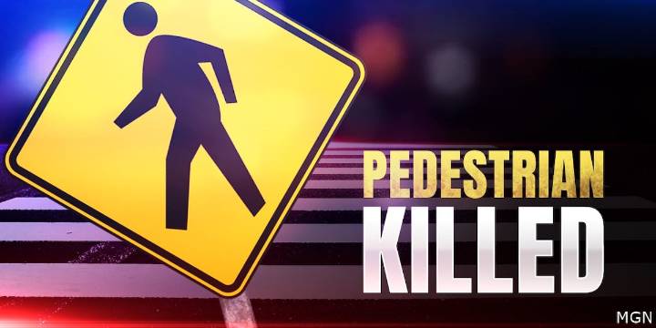 Leesville man fatally hit by vehicle in Vernon Parish