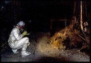 Chernobyl’s Shield Guarding Radioactive “Elephant’s Foot” Has Been Damaged for Months