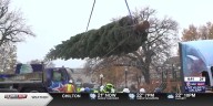 J.J. Keller arranged transport for this year’s National Christmas Tree