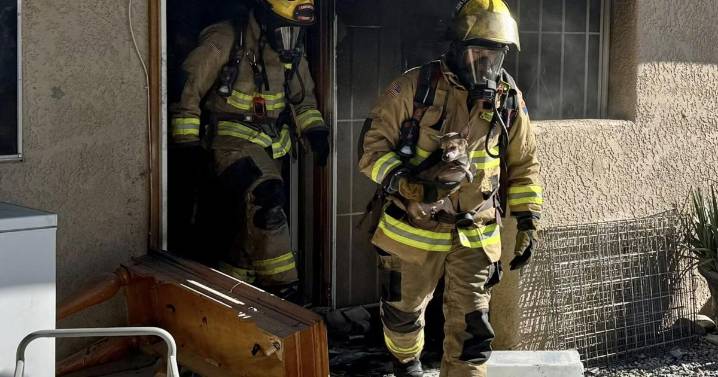 Three dogs removed from midtown Tucson apartment fire