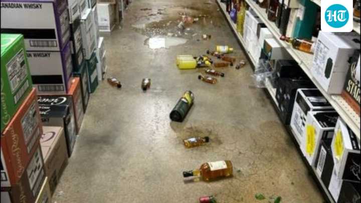 Drunk raccoon causes chaos in Virginia liquor store, passes out in bathroom