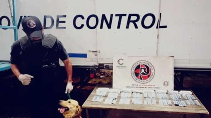 Secuestran 500 pastillas