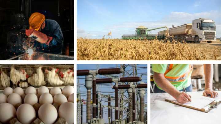 Sólo dos sectores recuperaron el vigor económico después de la caída de 2024