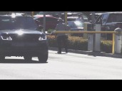 Coyote that attacked 2 kids at UTC Westfield mall euthanized