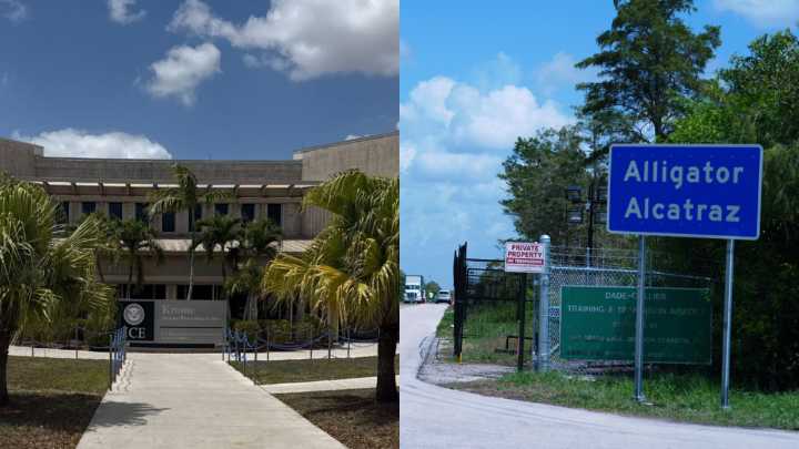 'Torture and enforced disappearances': Amnesty International alleges human rights violations in Fla.