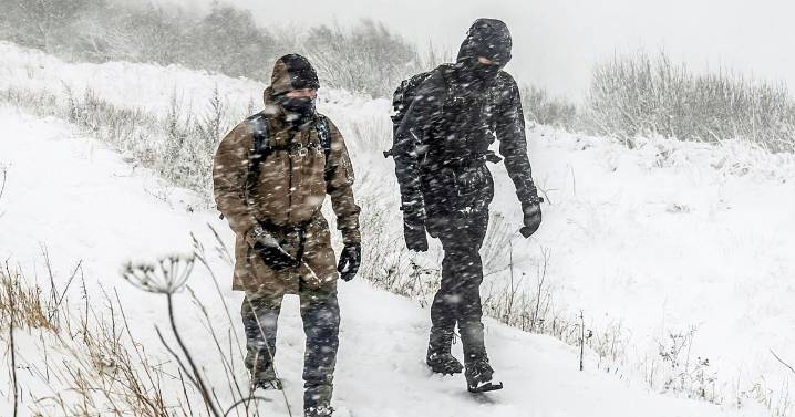 Met Office quells fears of 'snow bomb' as wintry showers forecast in UK