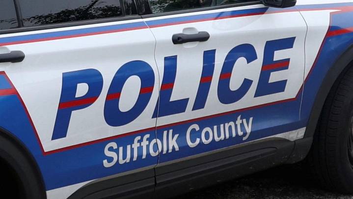 Toddler struck, killed in Mount Sinai driveway, police say