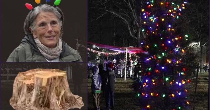 Virginia community saves Christmas after vandals destroy 40