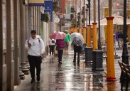 Emilia no puede con el ritmo de la ciudad