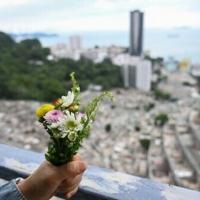 Survivors, families seek answers to deadly Hong Kong ferry disaster