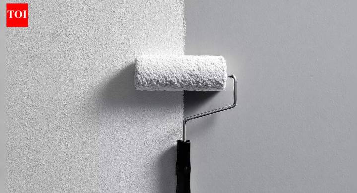 How winter light makes wall paint appear darker and expert tips to choose the right tone