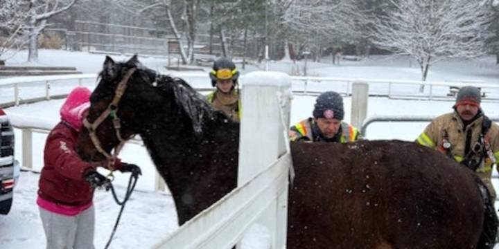 Horse trapped in ice at Ellington summer riding camp, rescued by firefighters