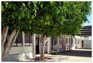 Alumna apuñala a compañera durante honores a la Bandera en Sonora