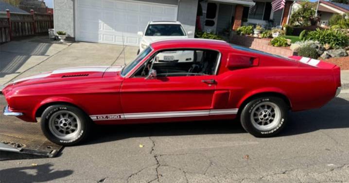 Vallejo man arrested, stolen classic pony cars recovered in search warrant