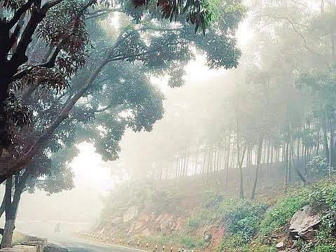 Mercury Plunges Below 10°C in 13 Places; Yellow Warning Issued Till Dec 12