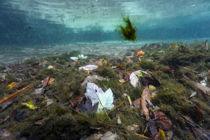 Florida state parks face $759 million backlog of needed repairs, state report finds