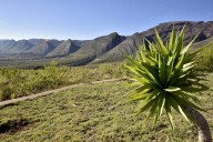 Where scientists found thousands of dino tracks