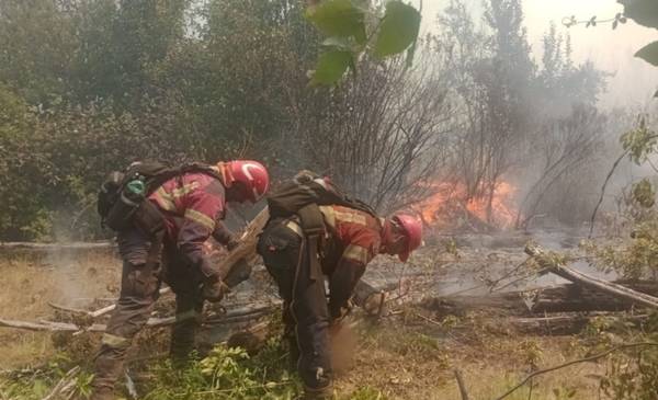 Sigue descontrolado incendio en El Turbio tras once días de combate: Más de 3.000 hectáreas y un galpón quemados