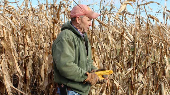 Trump announces $12 billion aid package for farmers hurt by trade war