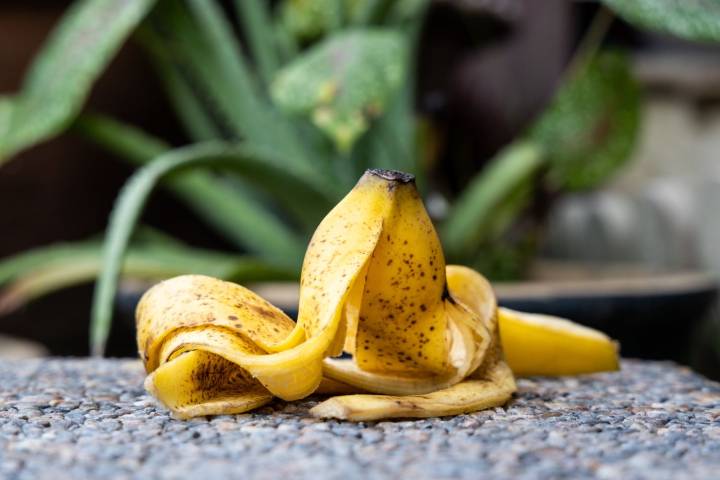 Don't Throw Away Your Banana Peels—They’re Way More Nutritious Than You Think