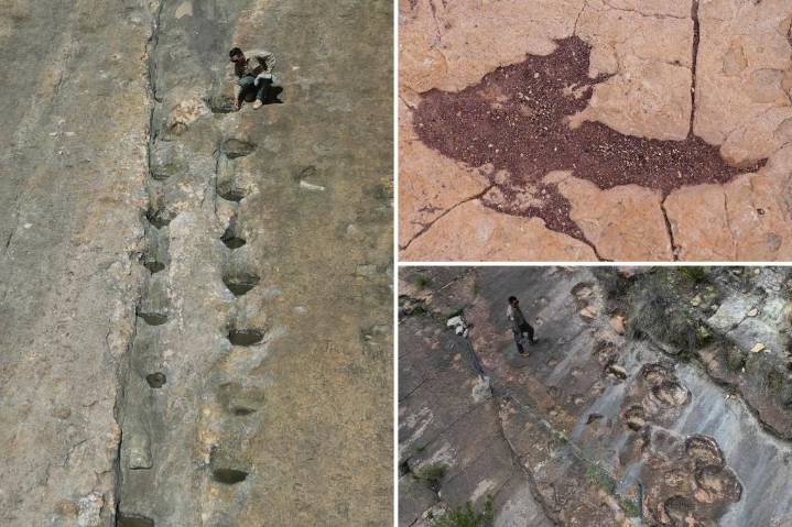 16,000 fossil footprints in central Bolivia reveal dinosaur behavior