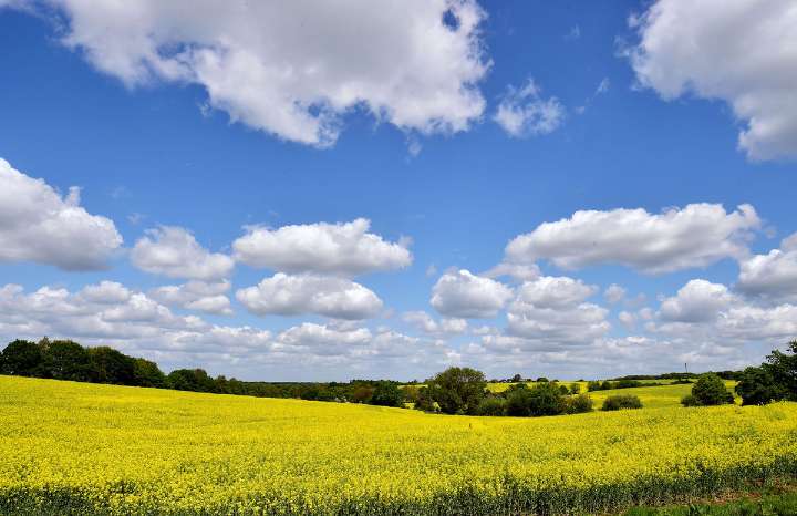Poor harvest to cost arable farmers more than £800m in revenue, analysis finds