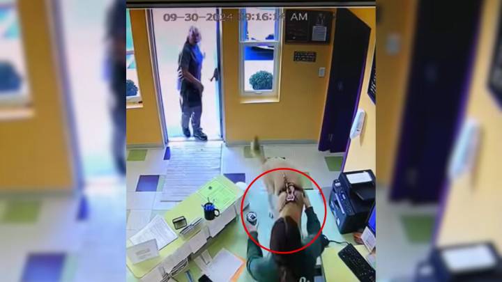 Michigan Dog’s Over-The-Top Entrance Stuns Daycare Staff And Delights The Interne