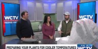 Preparing plants for cold temperatures