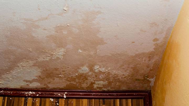 Qué pasa si la humedad del vecino se pasa a la pared de mi casa y qué debo hacer