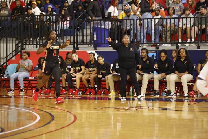 High school girls basketball: Wonders rally past Hornets