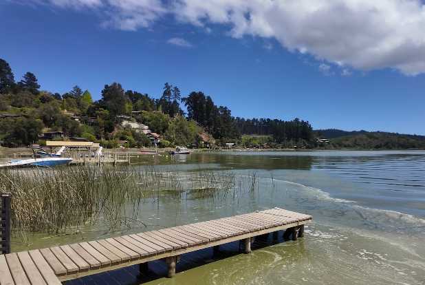 Crisis ambiental en el Maule: proliferación de cianobacterias empeora la situación en Lago Vichuquén