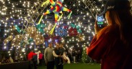¿Qué hacer en Navidad en CDMX? verbenas, circo, música y pistas de hielo 2025